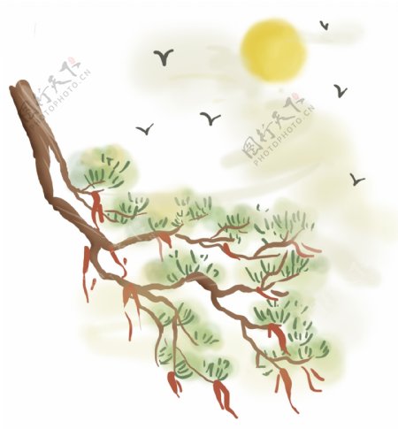 松树和飞鸟