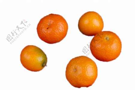 五个新鲜漂亮的橘子