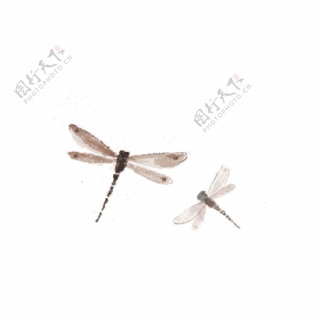 褐色小蜻蜓装饰元素