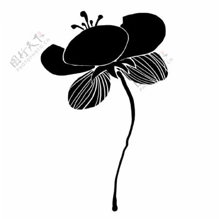 一朵黑色桃花插图