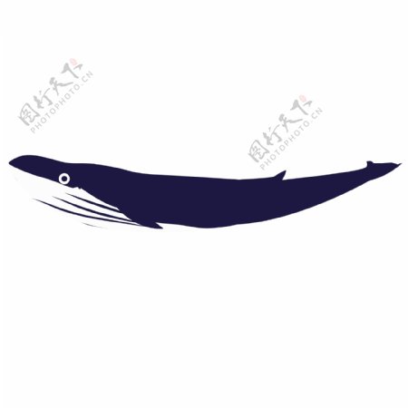 唯美清新蓝色鲸鱼透明素材