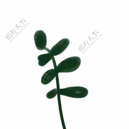 卡通深绿色小叶子植物