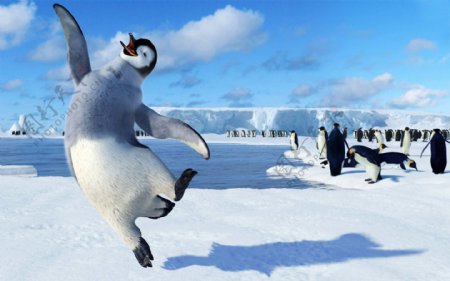 企鹅跳舞