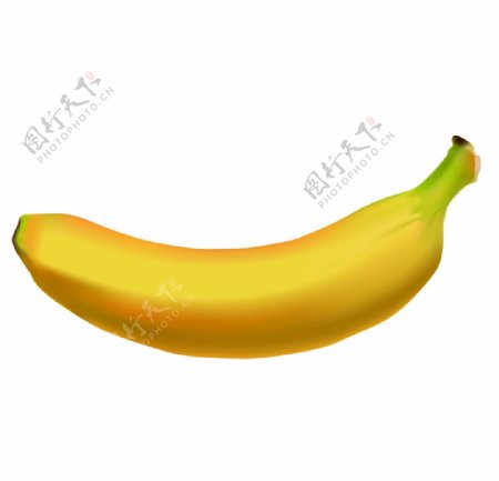 香蕉效果图