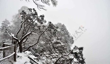 四川峨眉唯美雪景