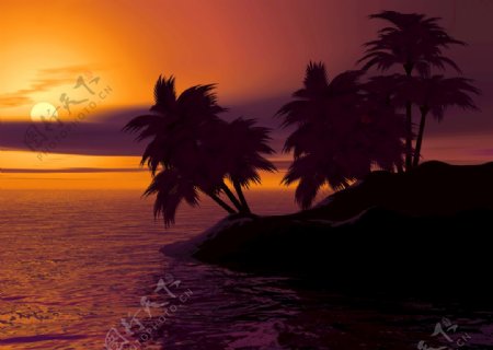 夕阳椰子树