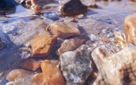 海边石头清澈水海边的石