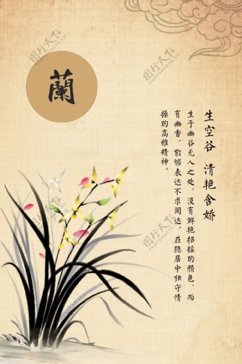 中国风兰花素材