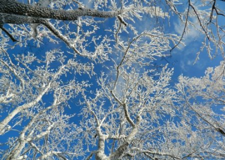 冬季雪景摄影美图
