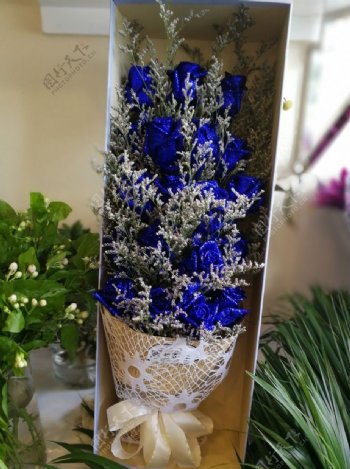 蓝色妖姬鲜花