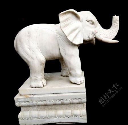 大象白象png素材动物