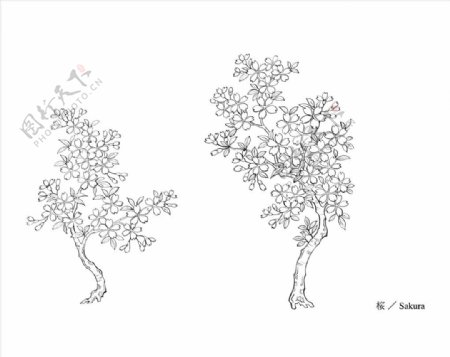 线描树木