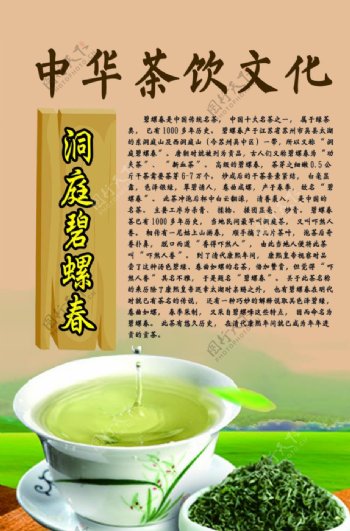 中华茶饮文化之洞庭碧螺春