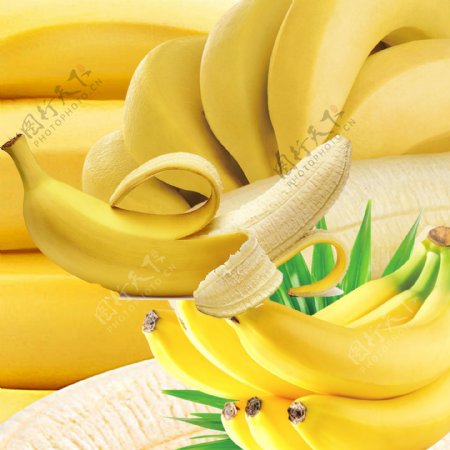 香蕉免扣图