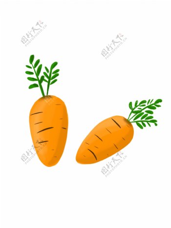 手绘蔬菜胡萝卜矢量图