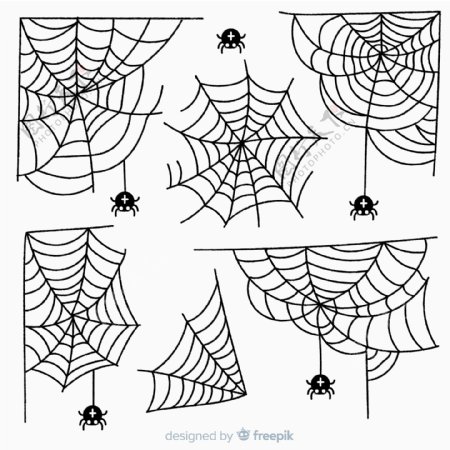 意蜘蛛网和蜘蛛