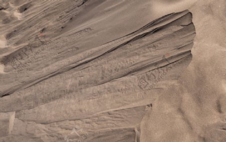 沙丘底纹