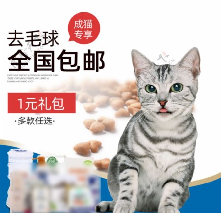 精品猫粮全国包邮