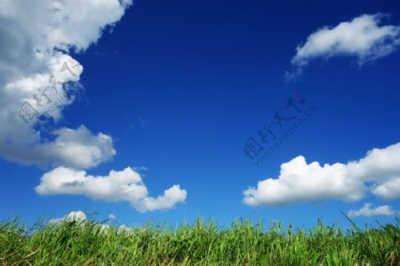 蓝天白云草坪