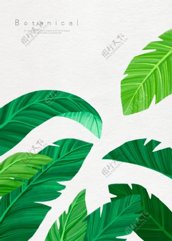 手绘绿色植物插画线稿