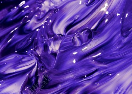 紫色梦幻