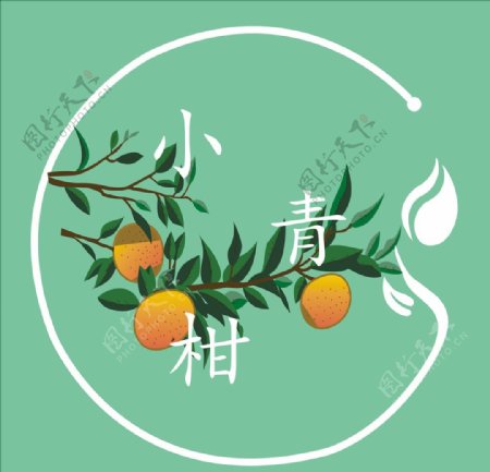 小青柑logo