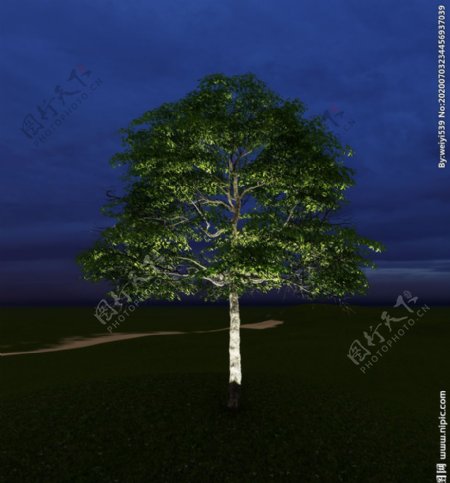 灯光树夜景树素材灯光树素材