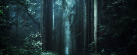 森林童话梦幻背景海报素材