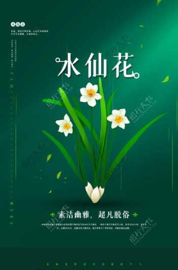 水仙花花朵活动宣传海报素材
