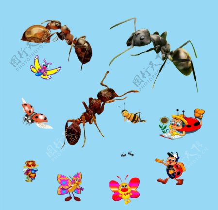 螞蟻卡通動物