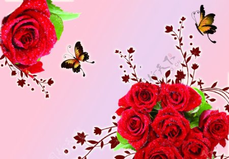 玫瑰花蝴蝶爱情壁纸壁画婚房