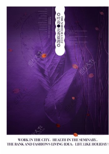 高雅紫色神秘房产宣传精美海报