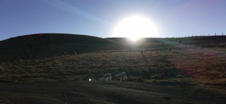 日落草原牧场风景图片