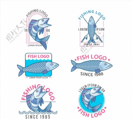 手绘鱼类标志图片