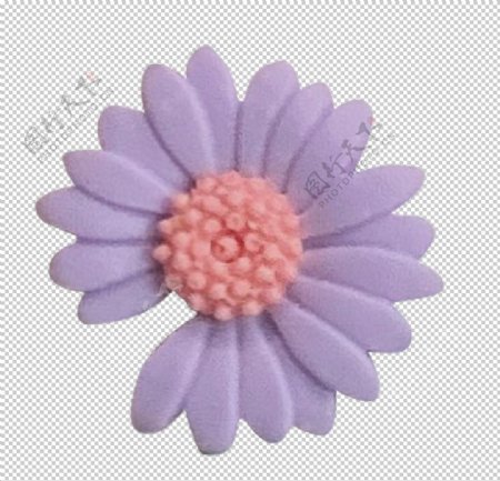 紫花耳钉图片