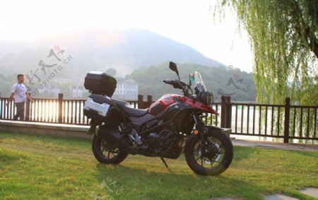 草地上的铃木摩托车图片