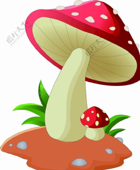 卡通蘑菇插画图片