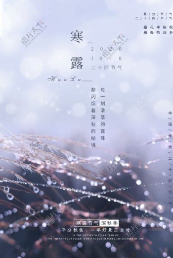 寒露傳統節日活動宣傳海報素材圖片