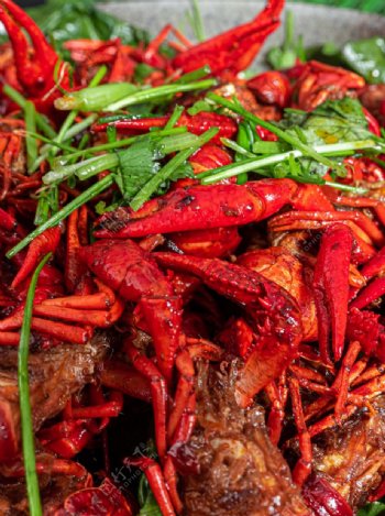红色龙虾美食食材背景海报素材图片