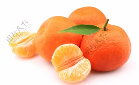 柑橘橘子图片