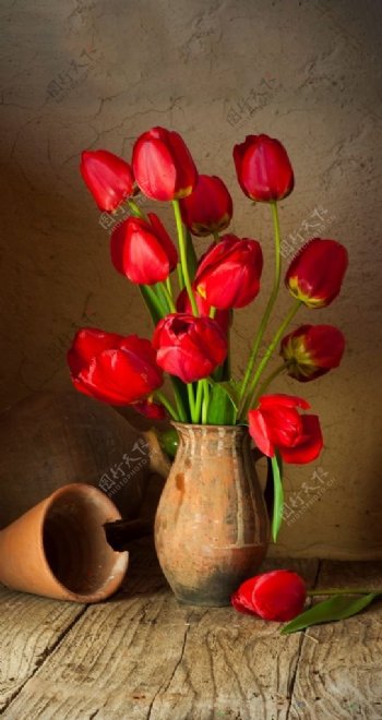 红玫瑰陶瓷花瓶插花图片