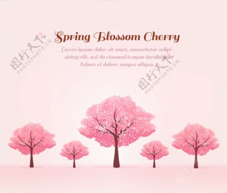 春季粉色樱花树图片