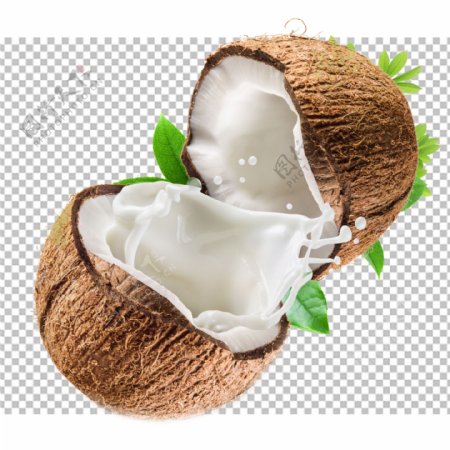 椰子图片
