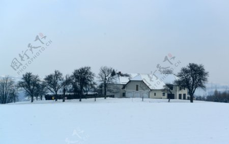 雪景雪地图片
