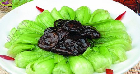 豫菜香菇小油菜图片