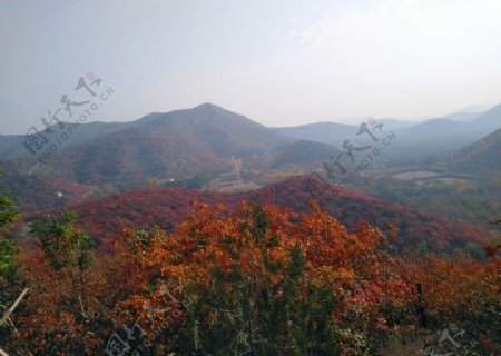 北京秋天的山景图片