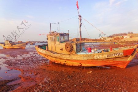 退潮后停泊的木渔船图片