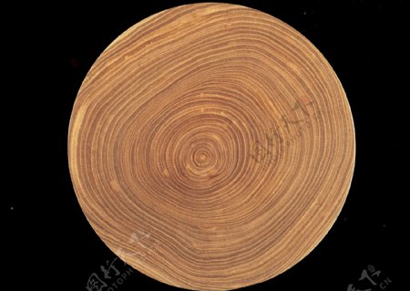 木纹树轮纹理底纹肌理图片