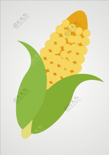 玉米玉米矢量图片