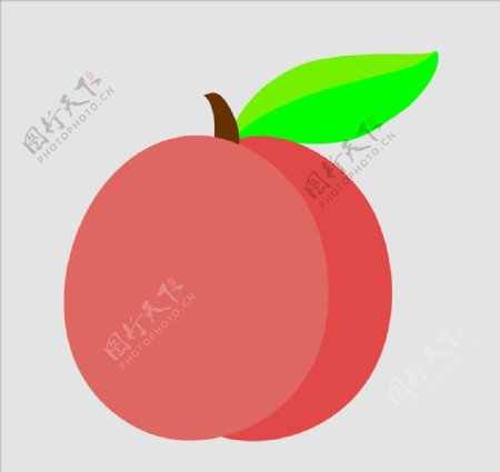 矢量桃子图片